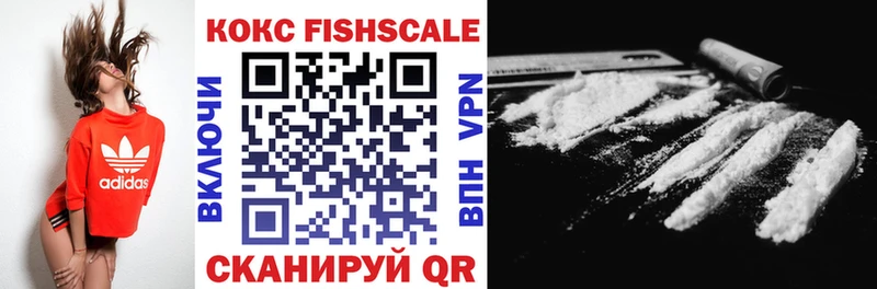 что такое Порхов COCAIN Fish Scale