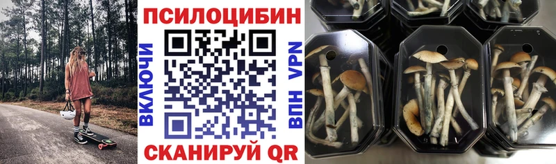 Псилоцибиновые грибы мухоморы  Порхов 